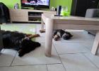 201305 2e deel